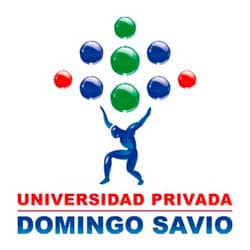 Cliente SALAR - Universidad Privada Domingo Savio
